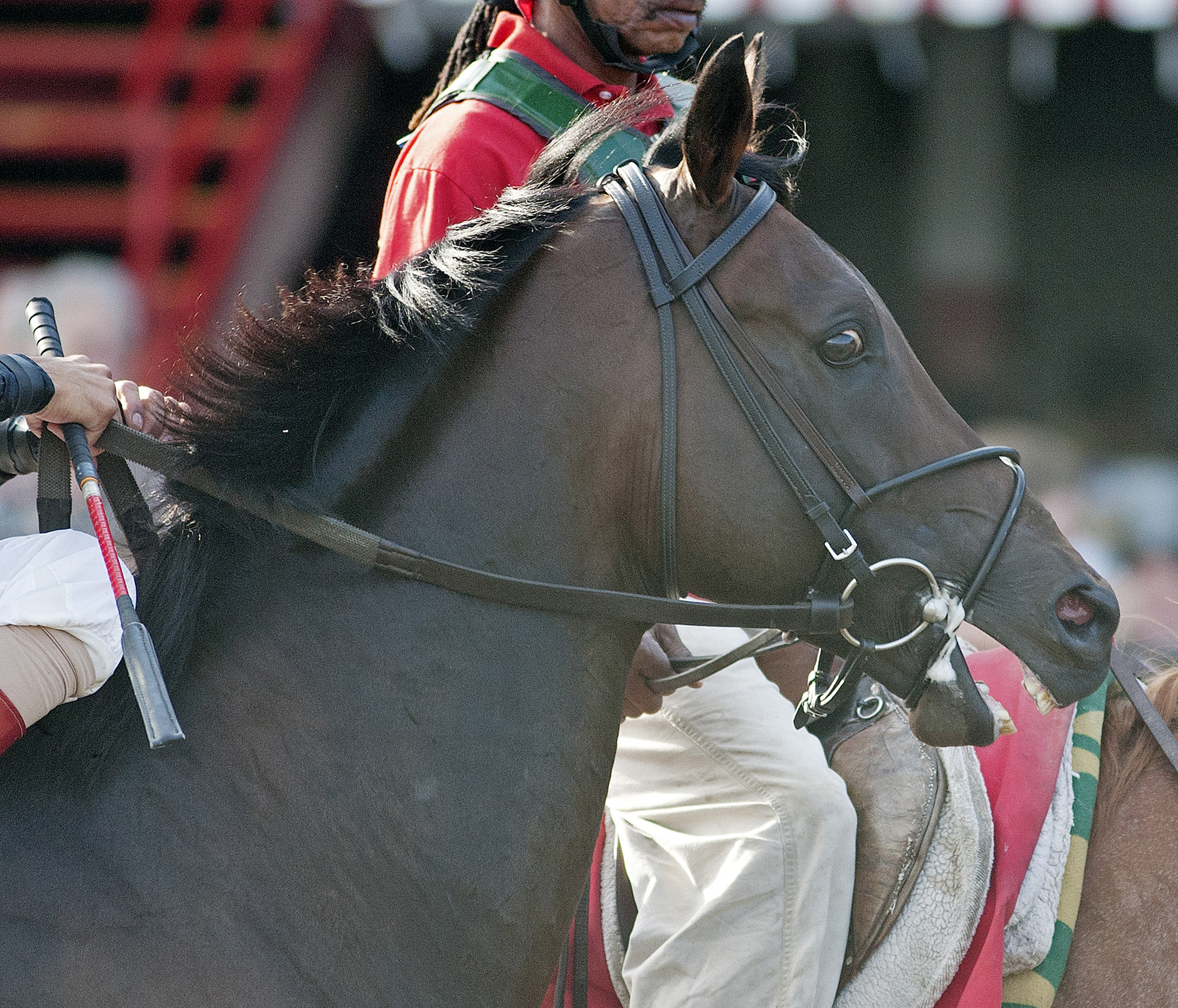 Boisterous, August 2011