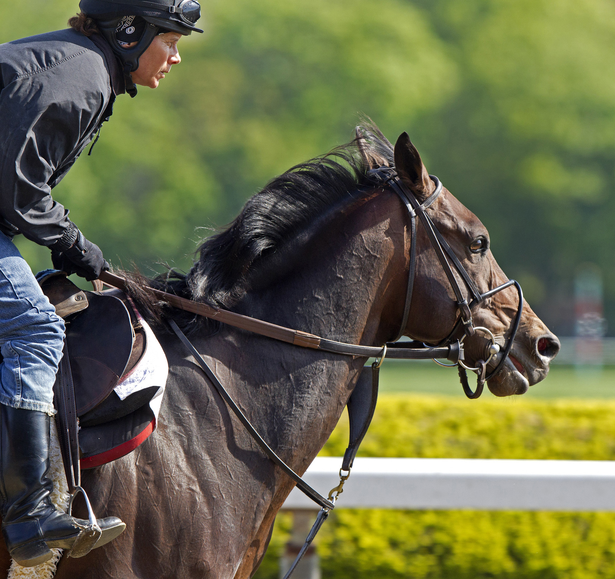 Boisterous, May 13, 2013