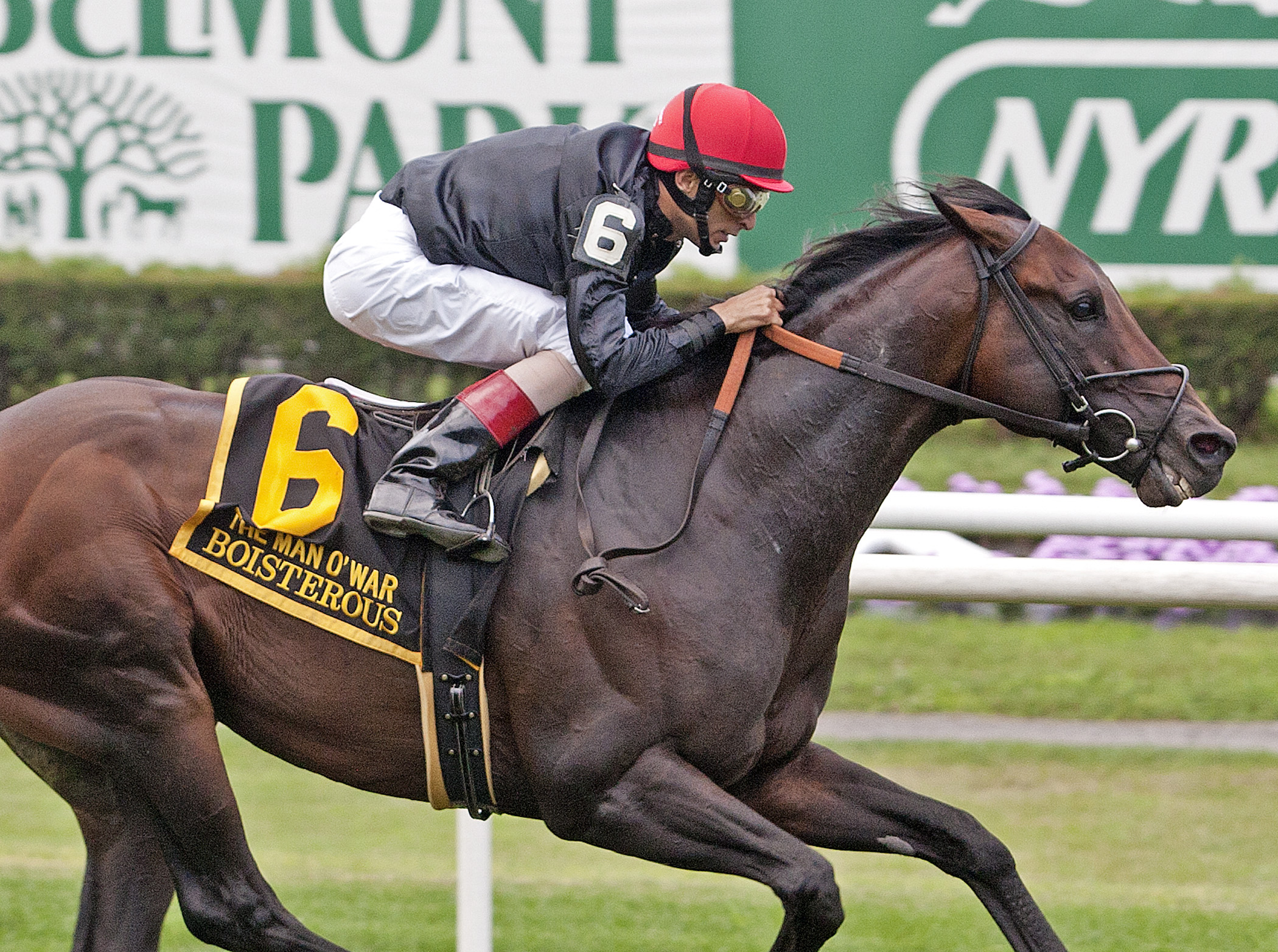 Boisterous/2013 Man o' War