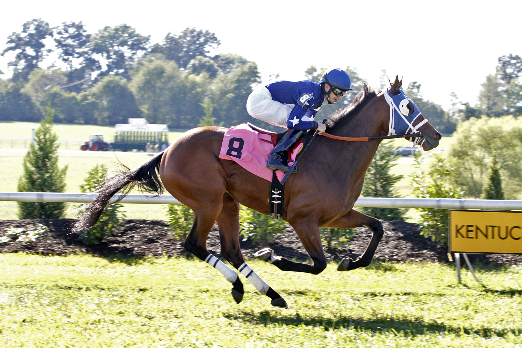 Boji Moon wins the Kentucky Downs Juvenile Stakes