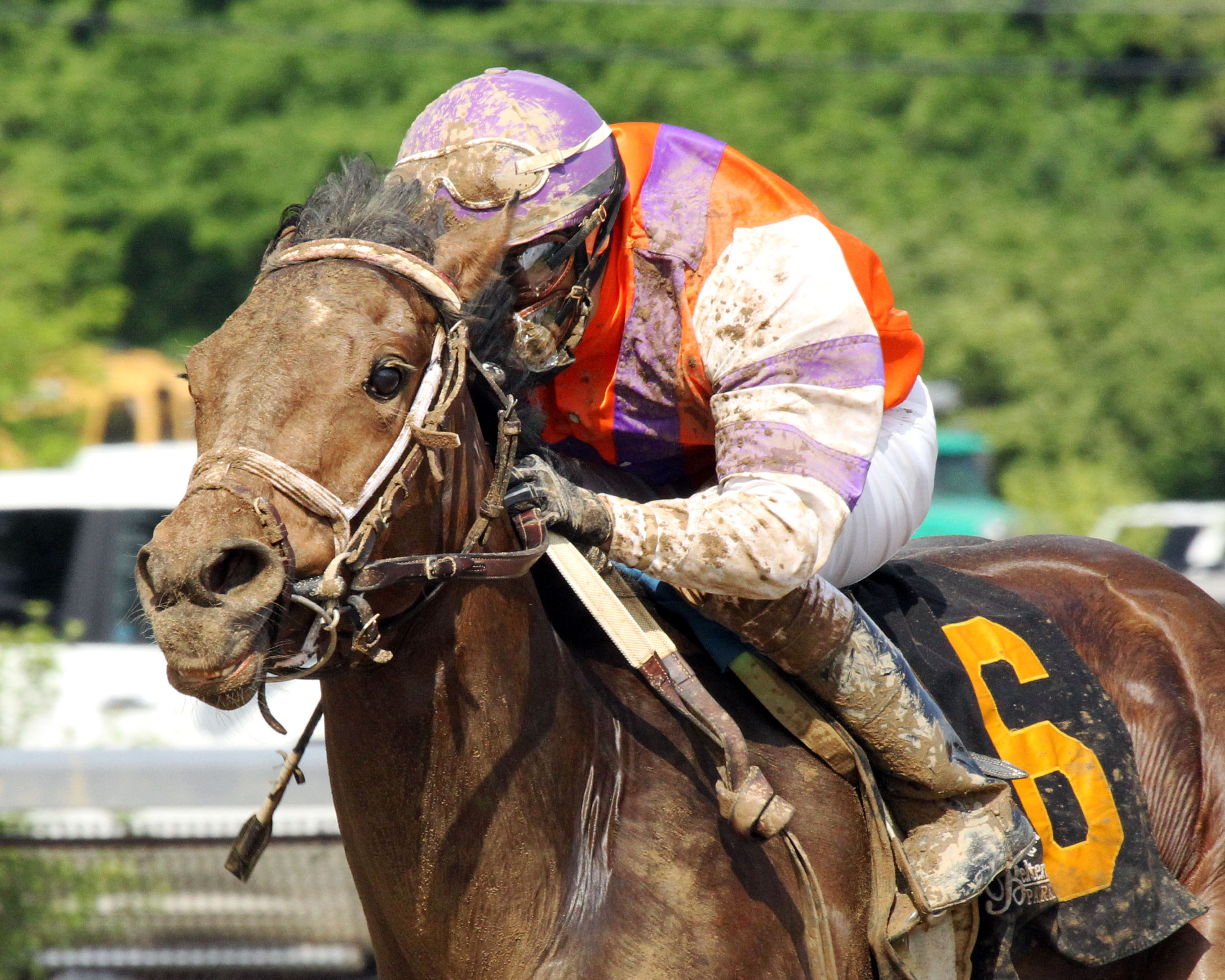 Bold Cait wins the Tomboy Stakes