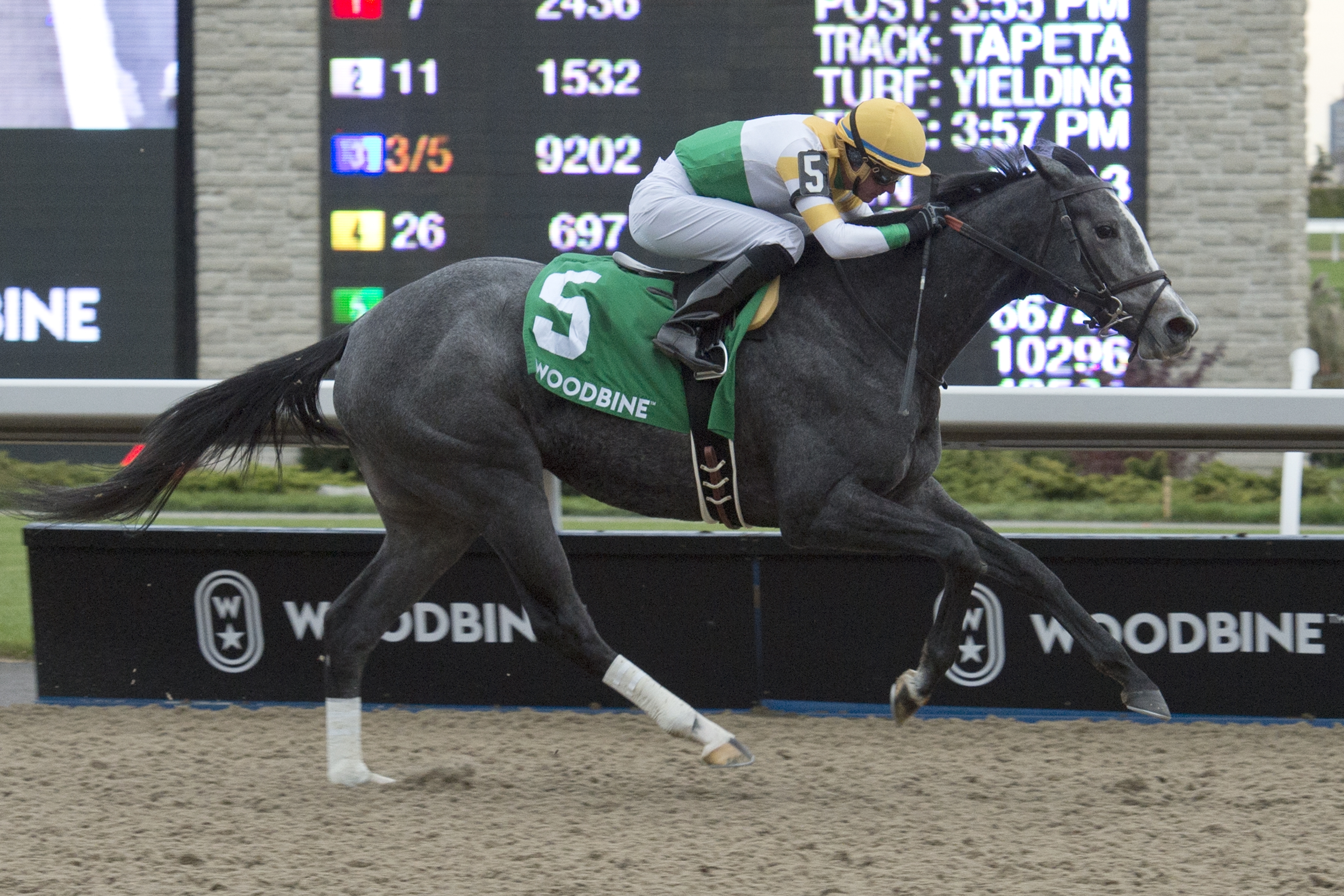 Bold Script wins the 2018 Princess Elizabeth Stakes