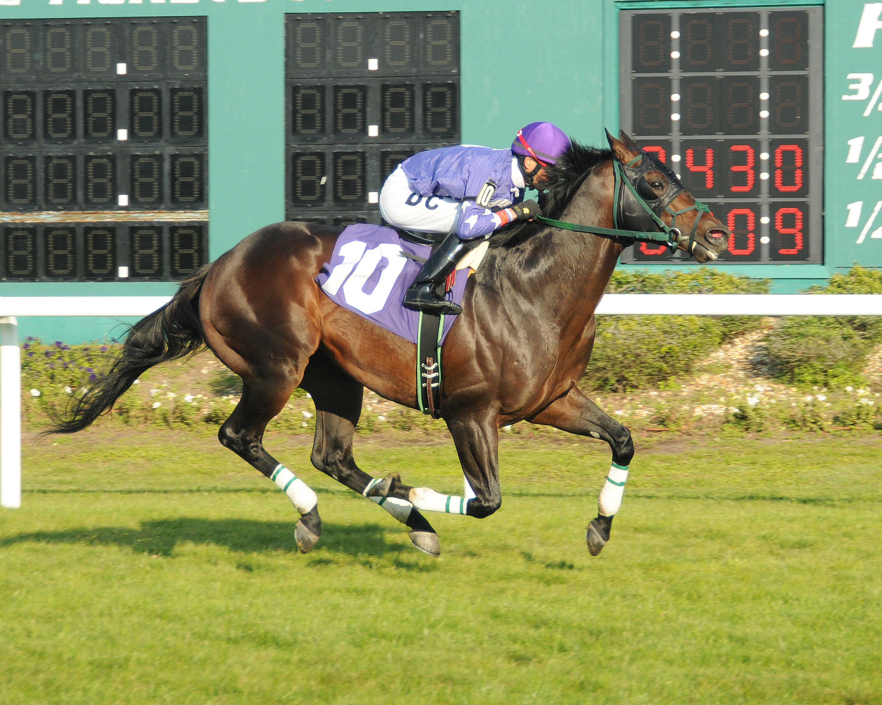 Bold Thunder 1-10-2015