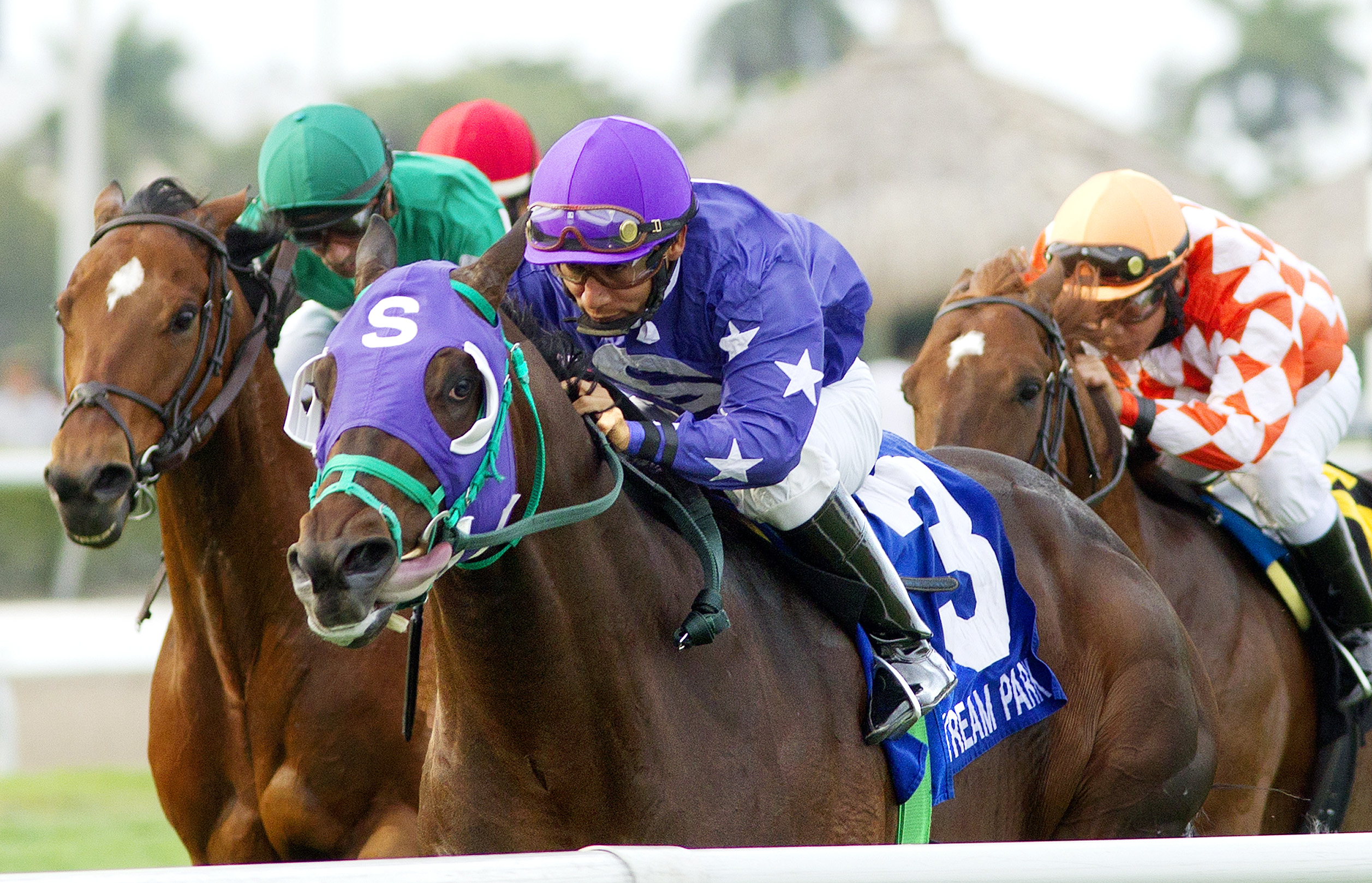 Bold Thunder wins the Silks Run Stakes