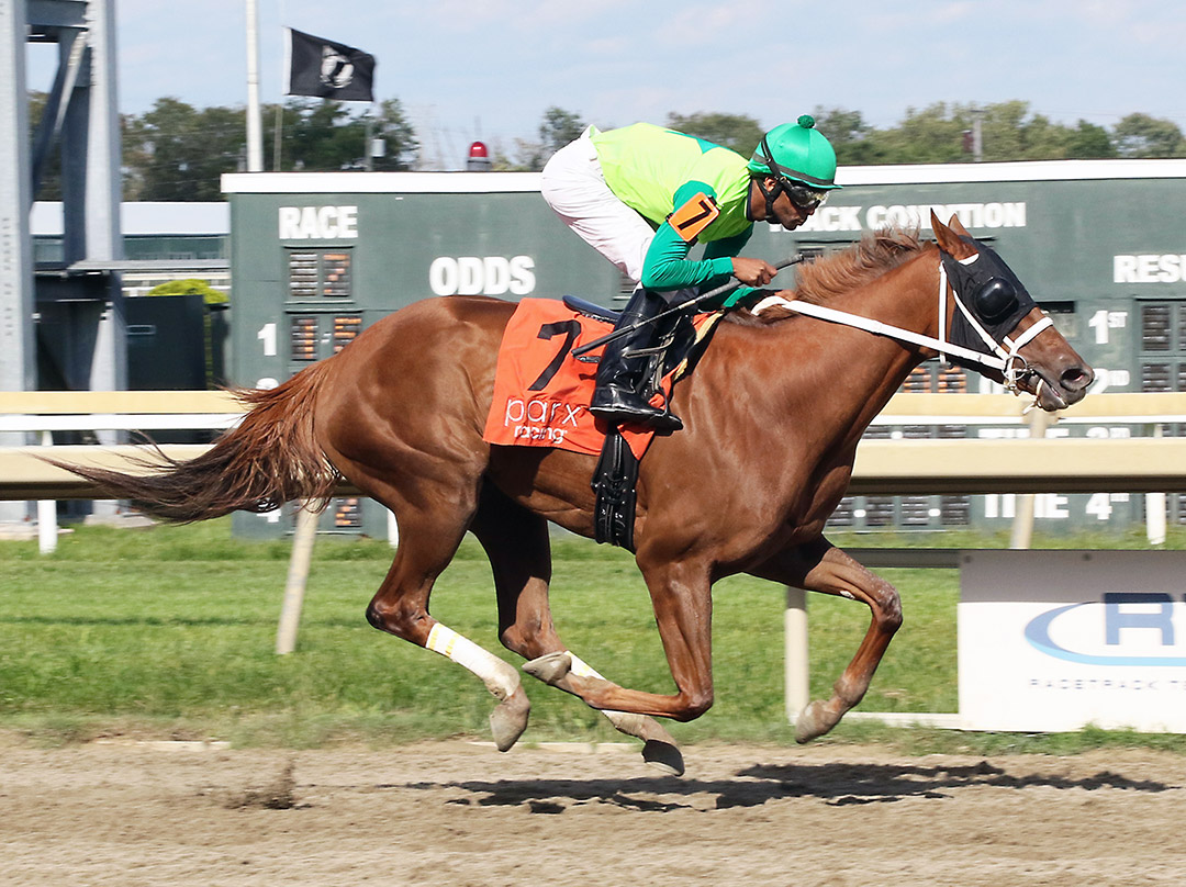 Bold Confection wins a Sept. 6 maiden race at Parx