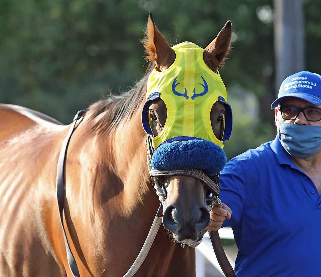 Bold Endeavor at Santa Anita in September 2020