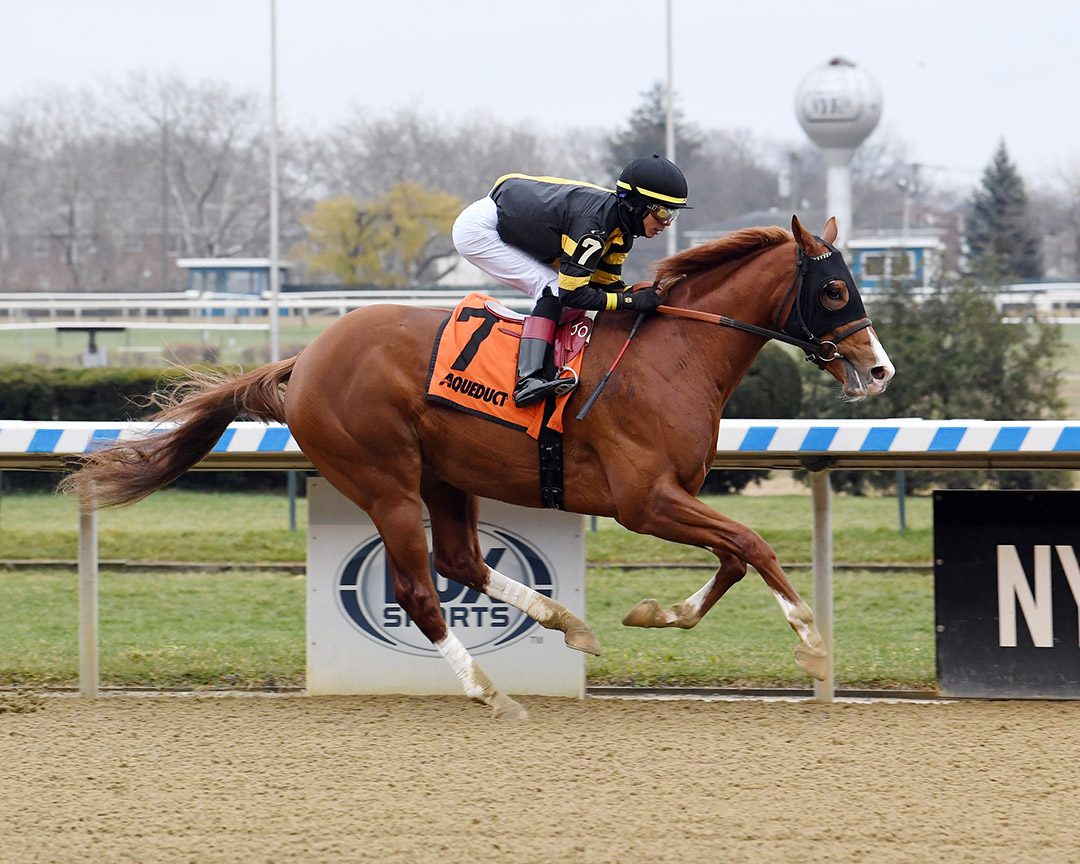 Bold Journey wins a Dec. 18 maiden race at Aqueduct Racetrack