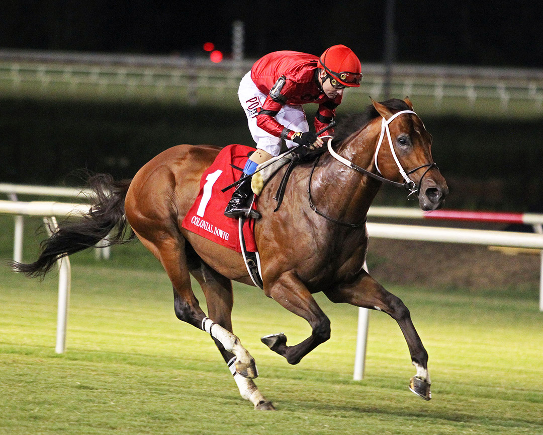 Boldor wins the 2019 Punch Line Stakes at Colonial Downs