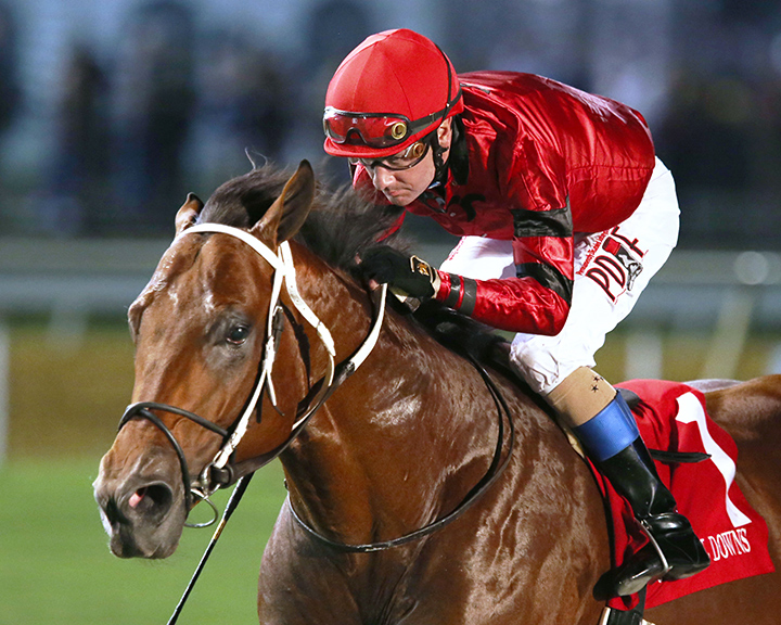 Boldor wins the 2019 Punch Line Stakes at Colonial Downs