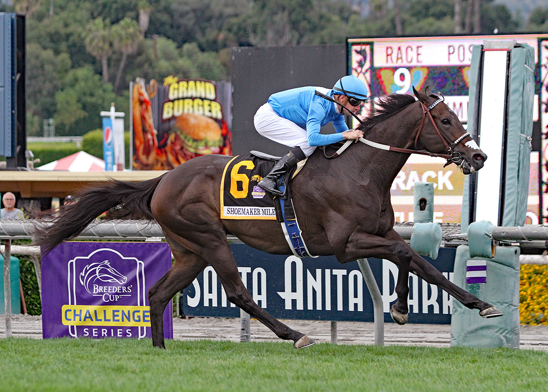 Bolo wins the 2019 Shoemaker Mile at Santa Anita