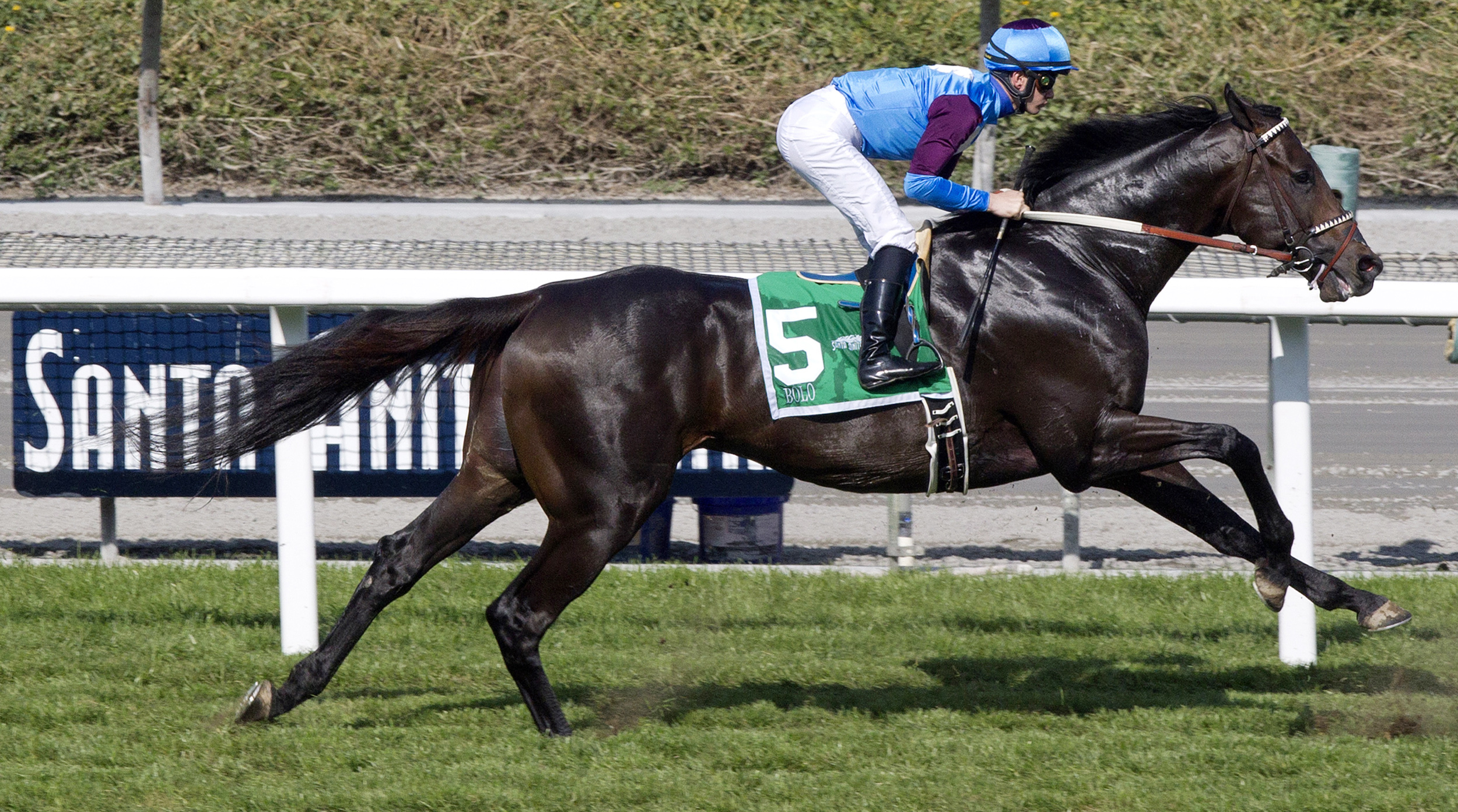 Bolo wins the Arcadia Stakes
