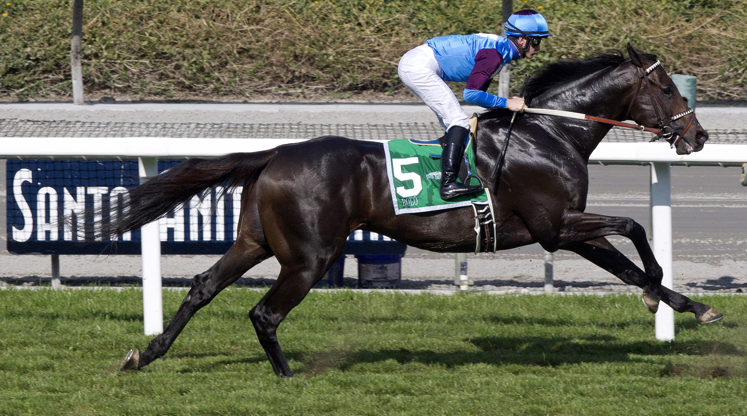 Bolo wins the Arcadia Stakes