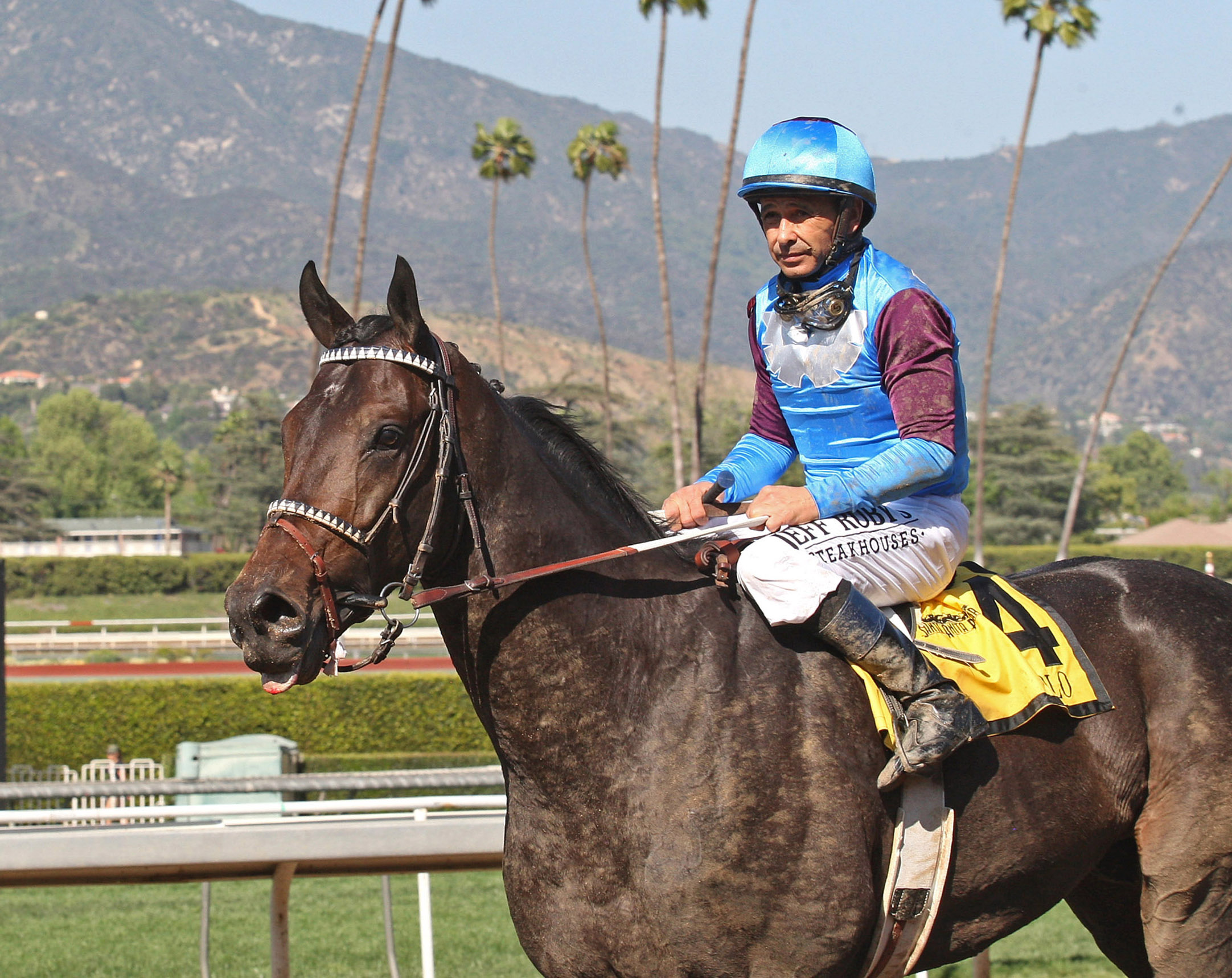 Bolo finishes third in the Santa Anita Derby