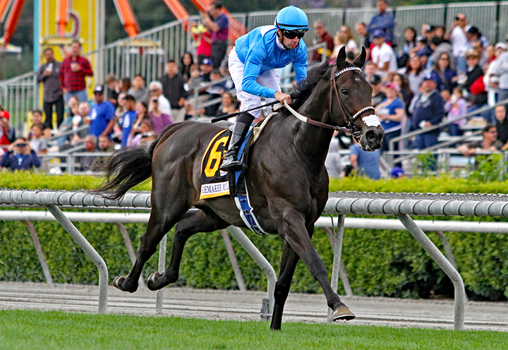 Bolo wins the Shoemaker Mile
