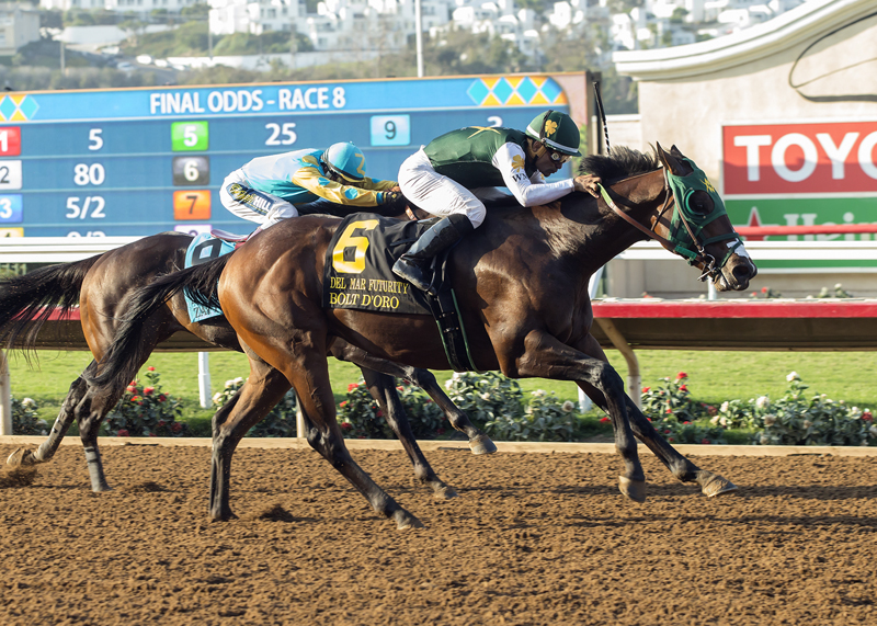 Bolt d'Oro