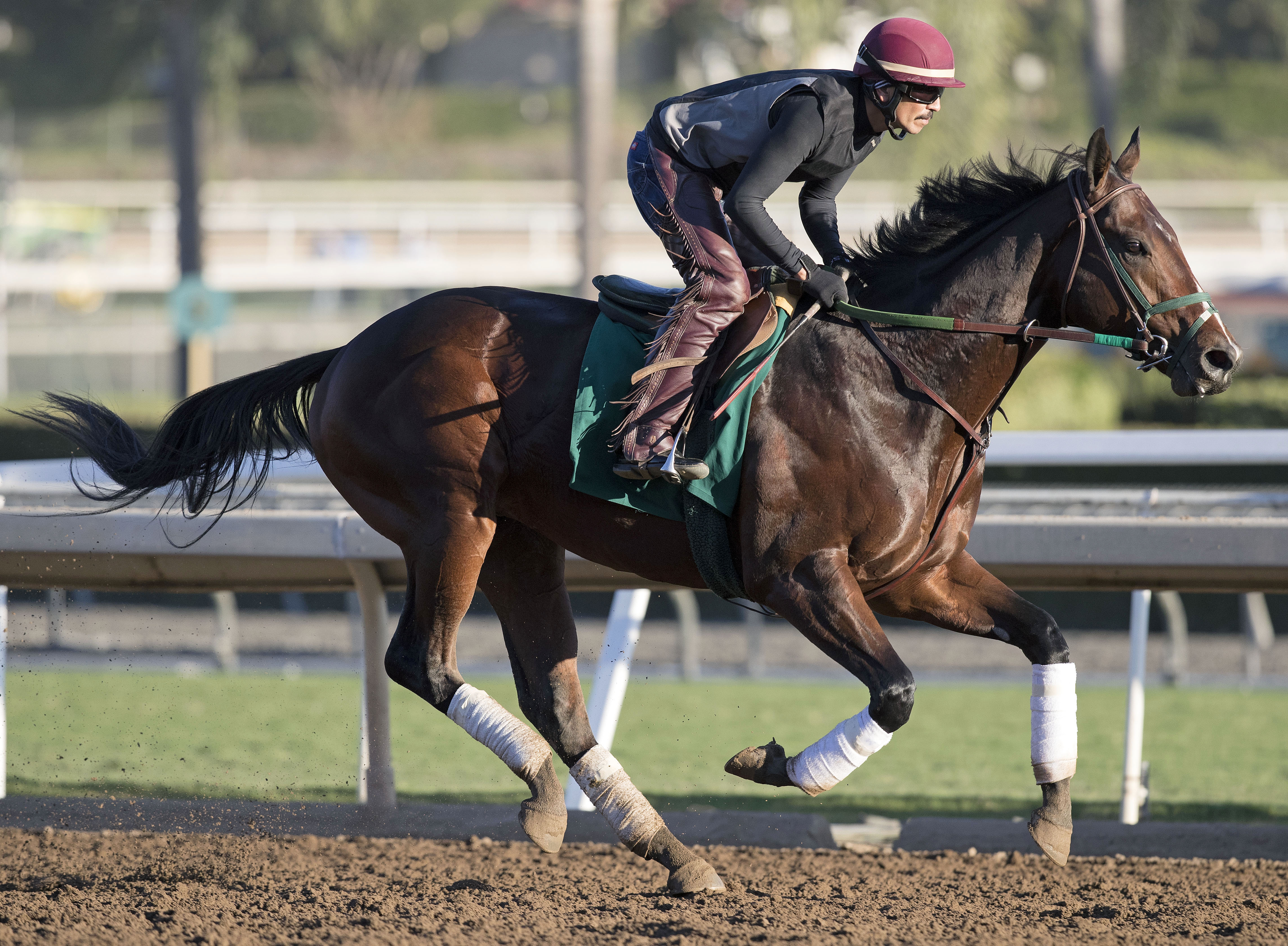 Bolt d'Oro trains on Oct. 25