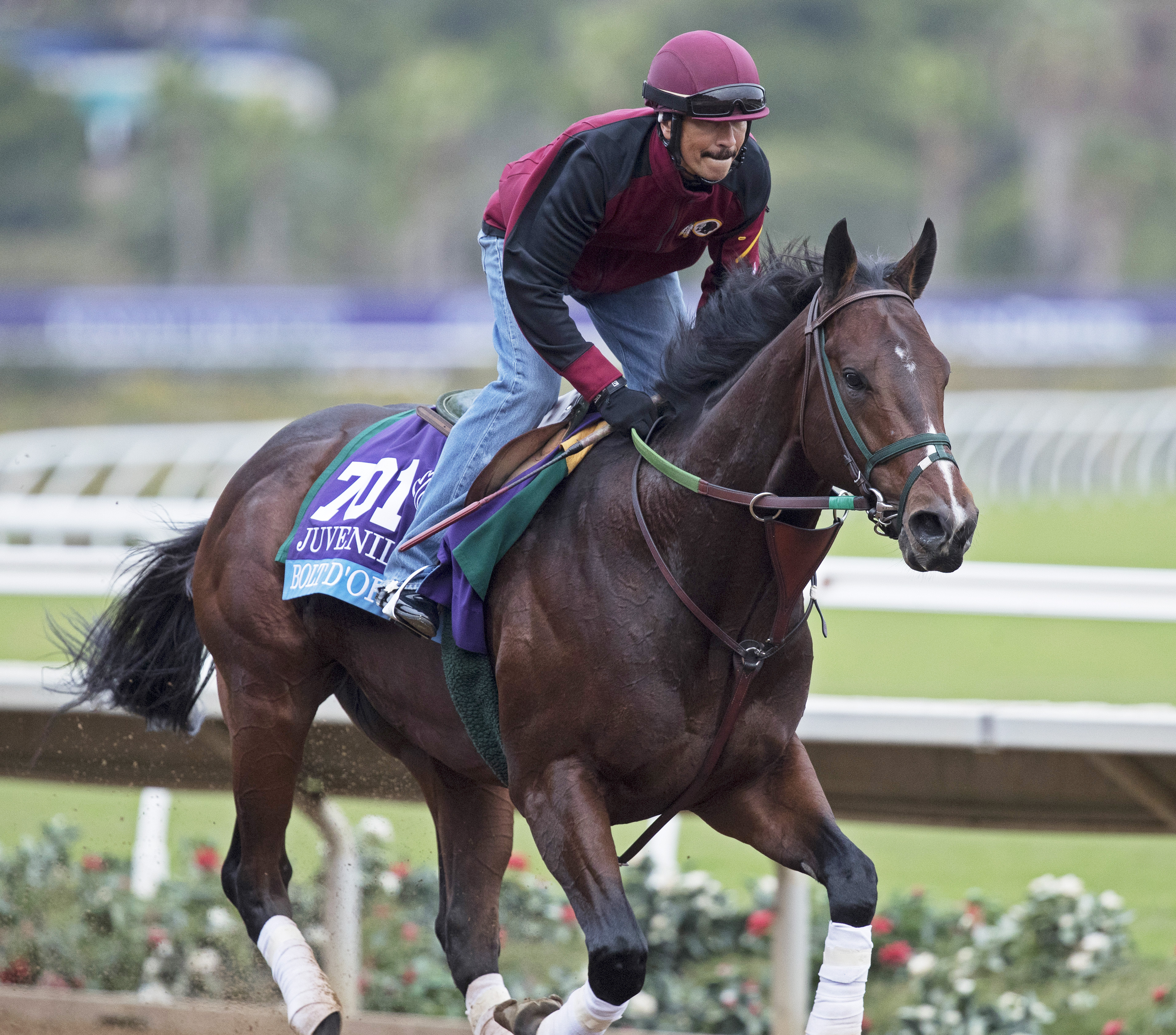Bolt d'Oro trains on Nov. 1