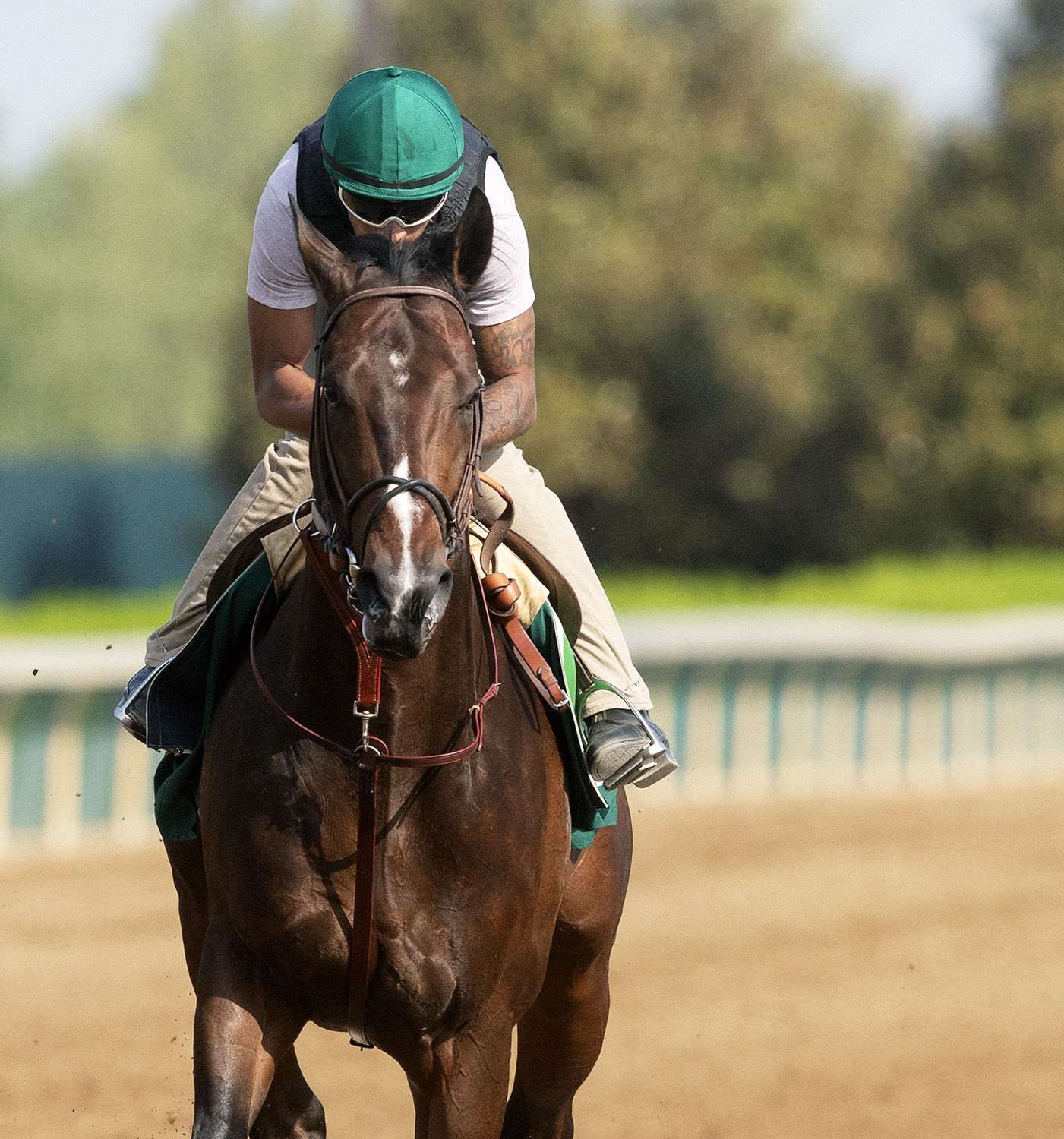 Bolt d-Oro trains at Keeneland on May 10