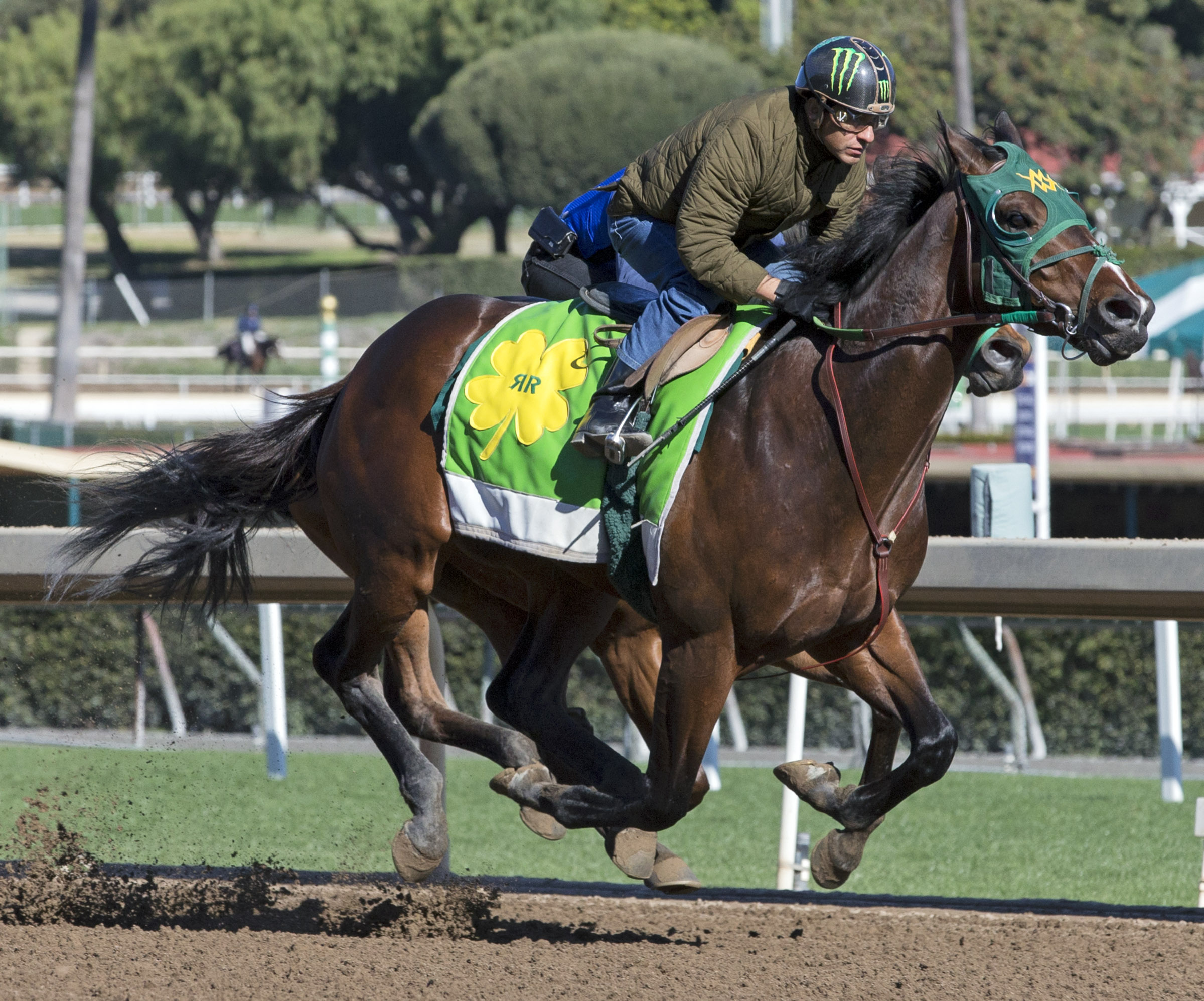 Bolt d-Oro trains at Santa Anita on March 5