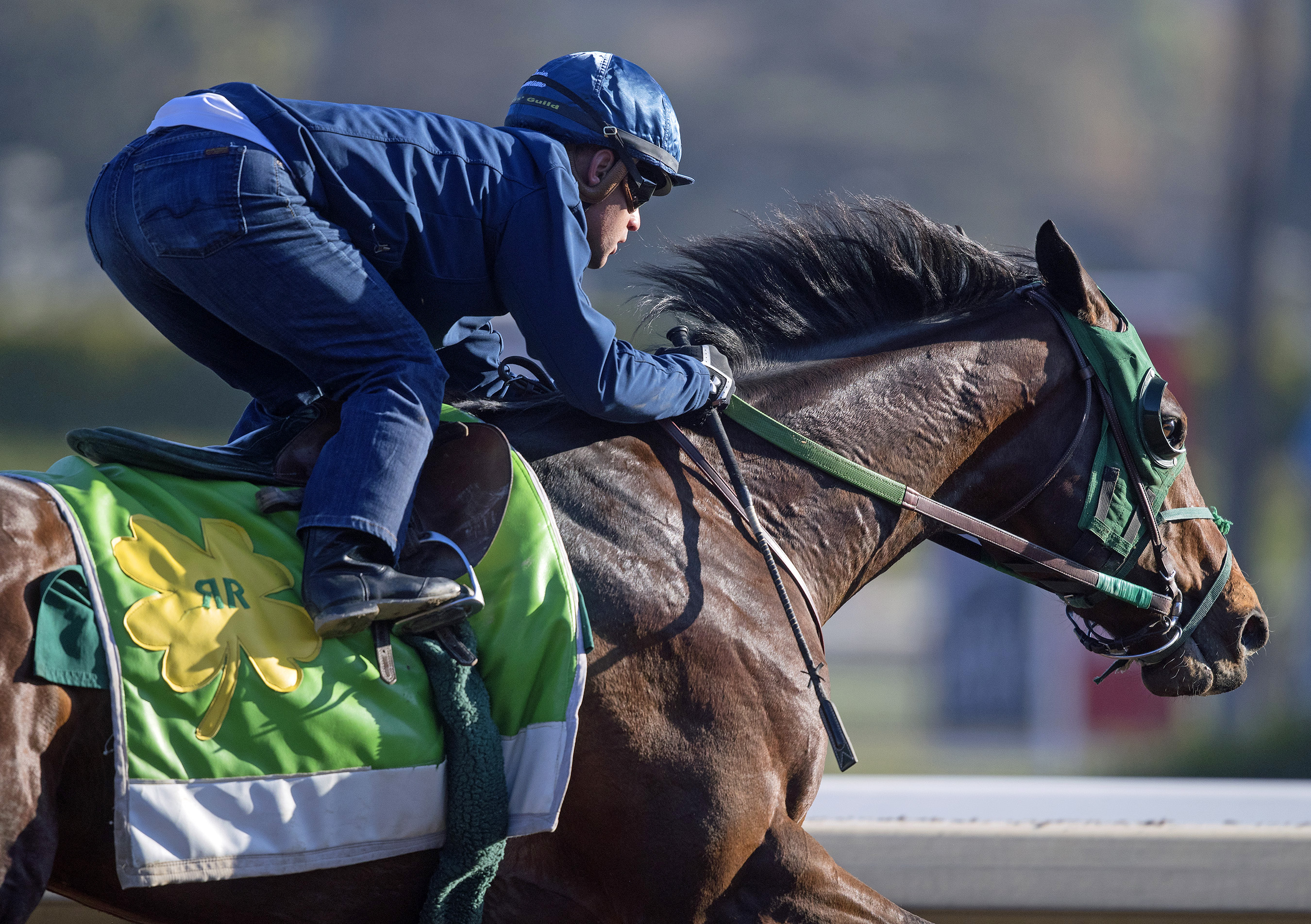 Bolt d-Oro trains at Santa Anita on Feb. 26
