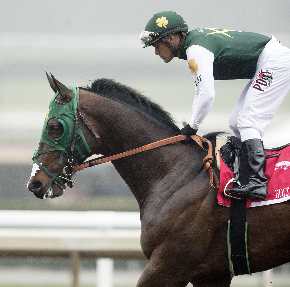 Bolt d-Oro after the San Felipe