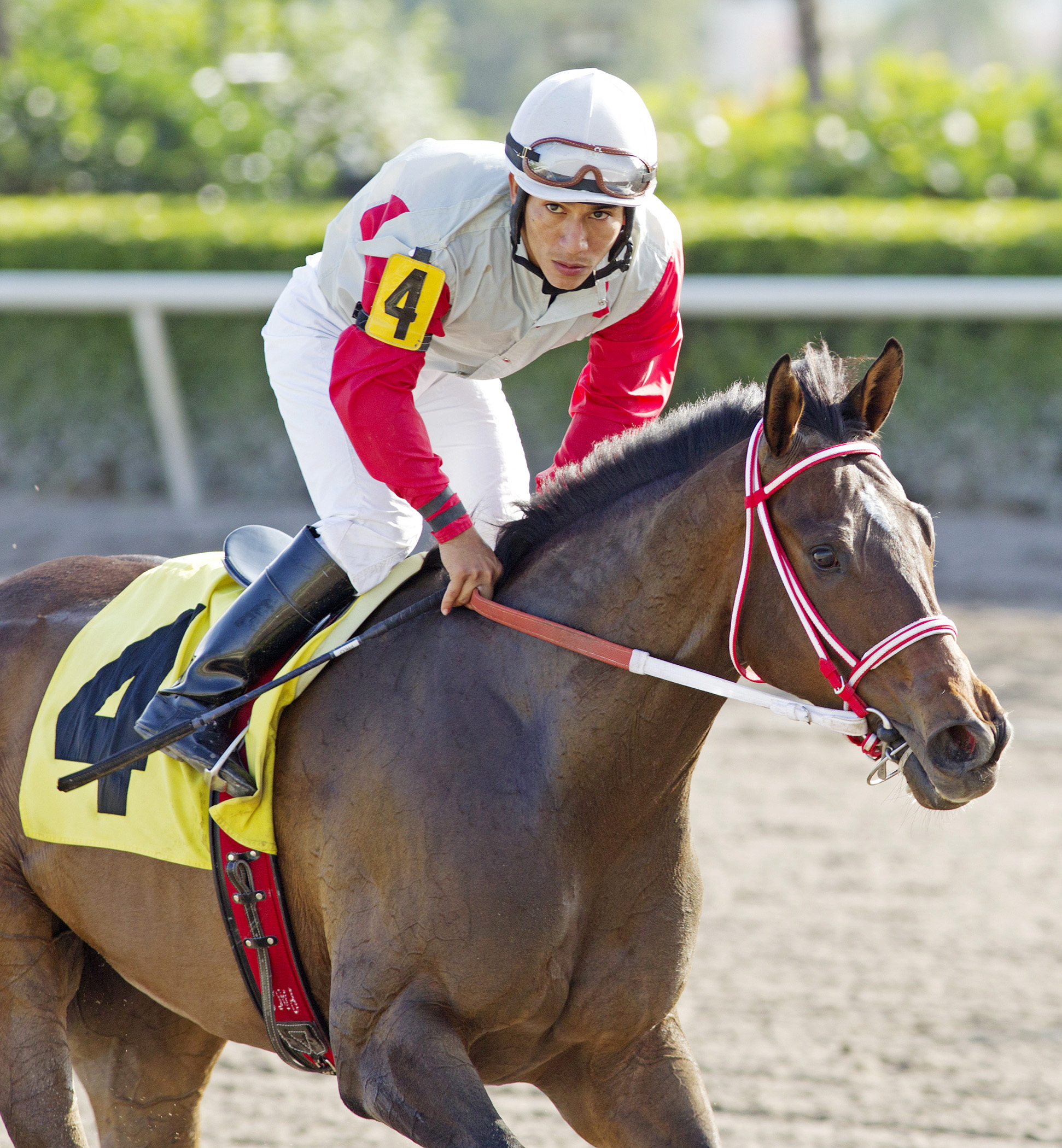 Boltin' Out finishes second in an optional claimer