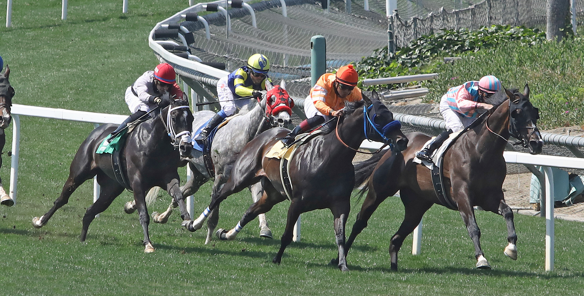 Bombard wins Daytona Stakes 5-29-2021