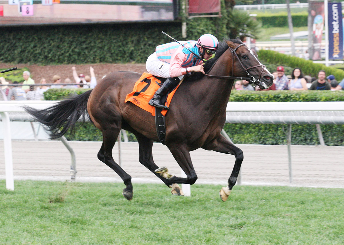 Bombard wins the 2018 Siren Lure Stakes