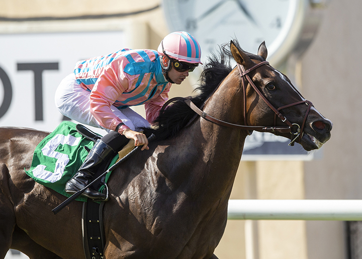 Bombard wins the 2019 Wickerr Stakes at Del Mar