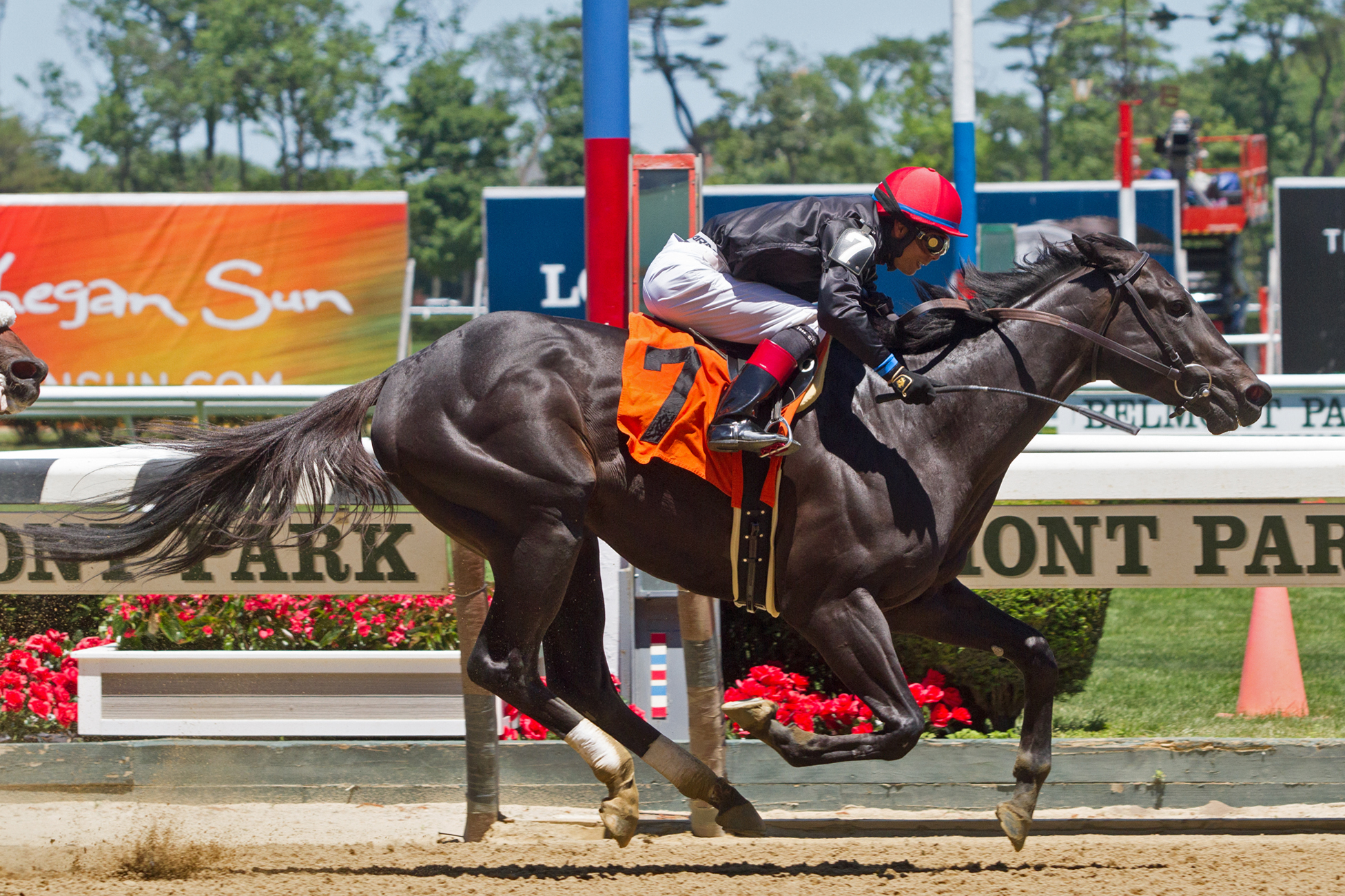 Bombs Away wins a maiden race