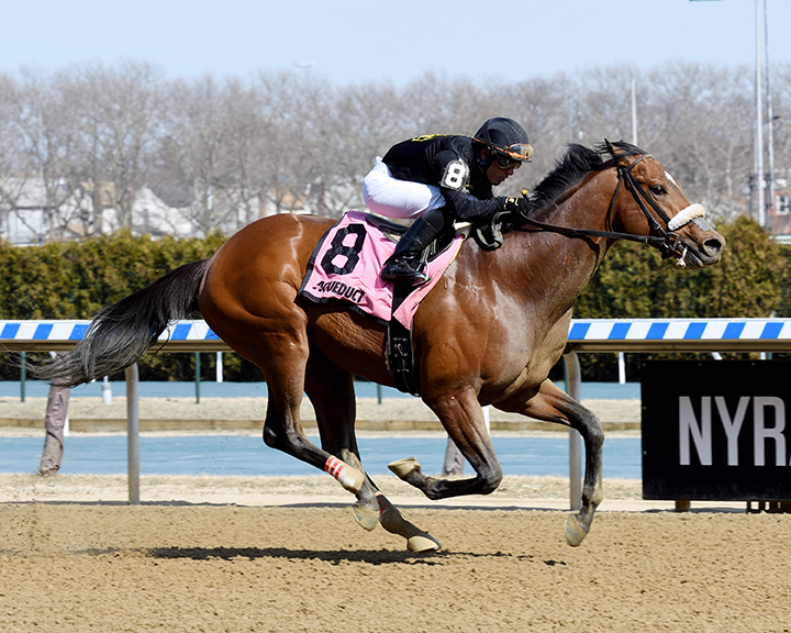 Bon Raison wins the 2019 Peeping Tom Stakes