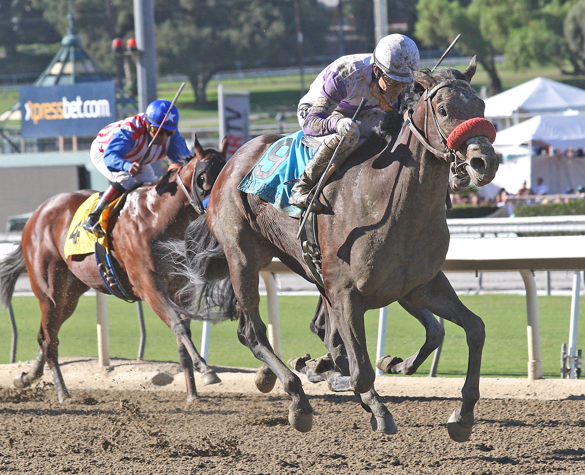 Bond Holder wins the FrontRunner Stakes