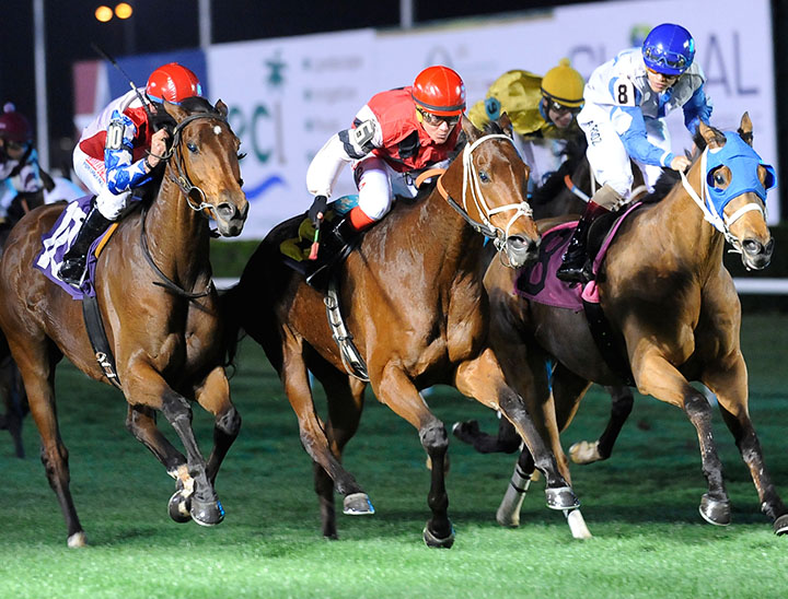 Bonjour Baby wins the Houston Turf Stakes