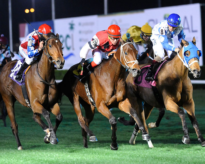 Bonjour Baby wins the 2018 Houston Turf Stakes at Sam Houston Race Park