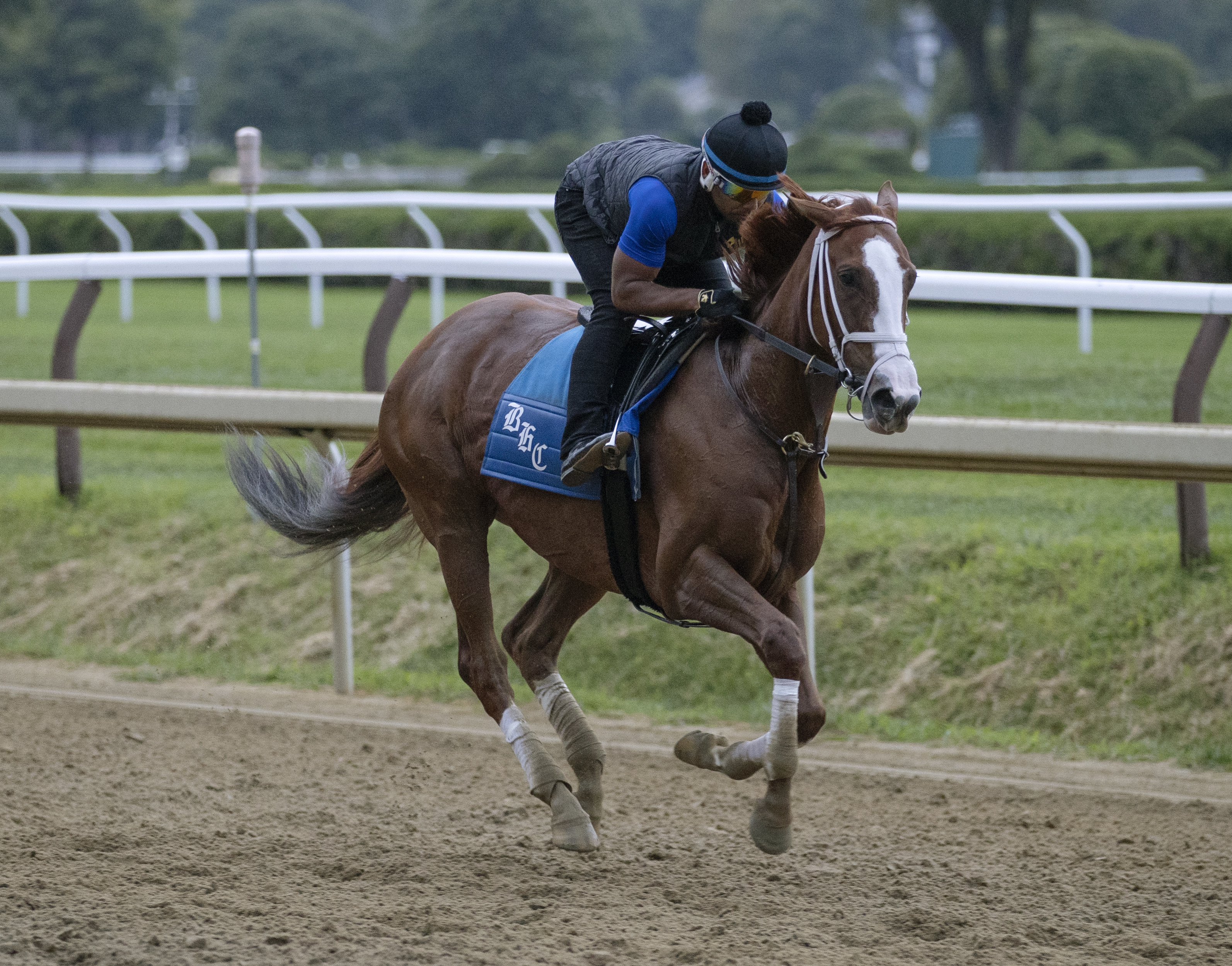 Bonny South trains at Saratoga Aug 17 2022
