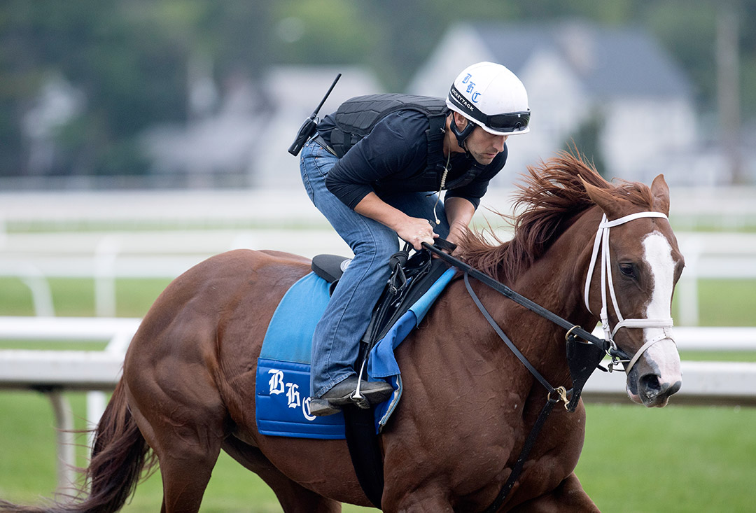 Bonny South trains at Saratoga Race Course on Sept. 5