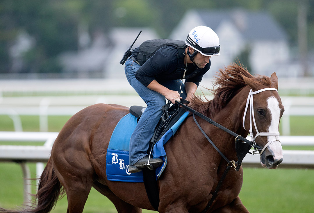 Bonny South trains at Saratoga Race Course on Sept. 5