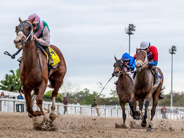 Bonny South wins the 2020 Fair Grounds Oaks at Fair Grounds