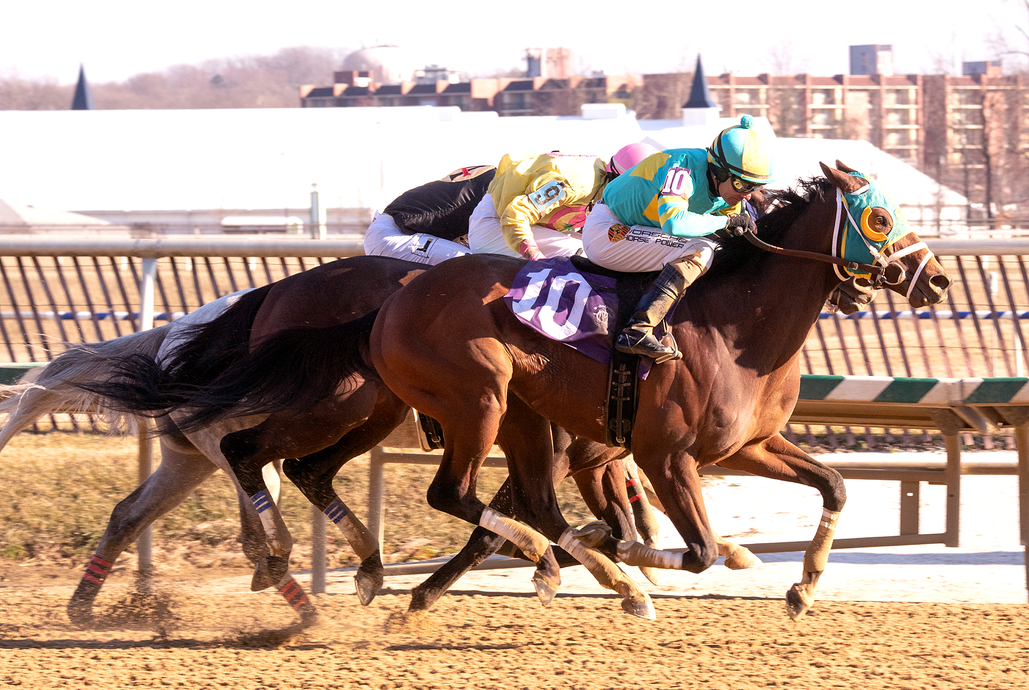 Bonus Points wins 2019 Campbell