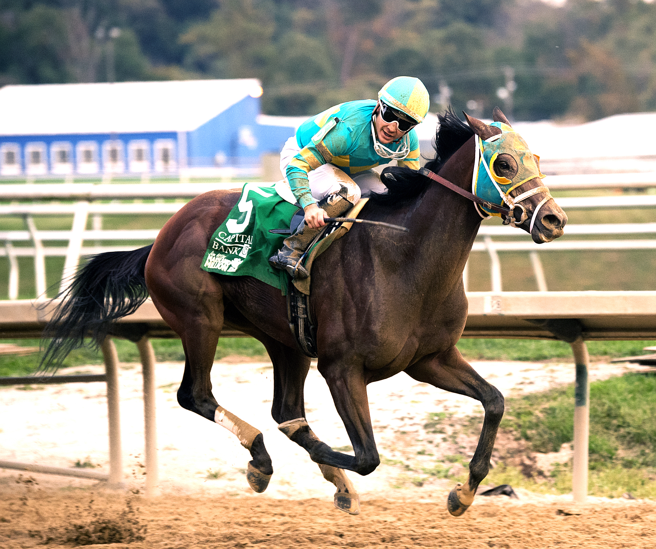 Bonus Points wins the 2017 Maryland Millions Classic