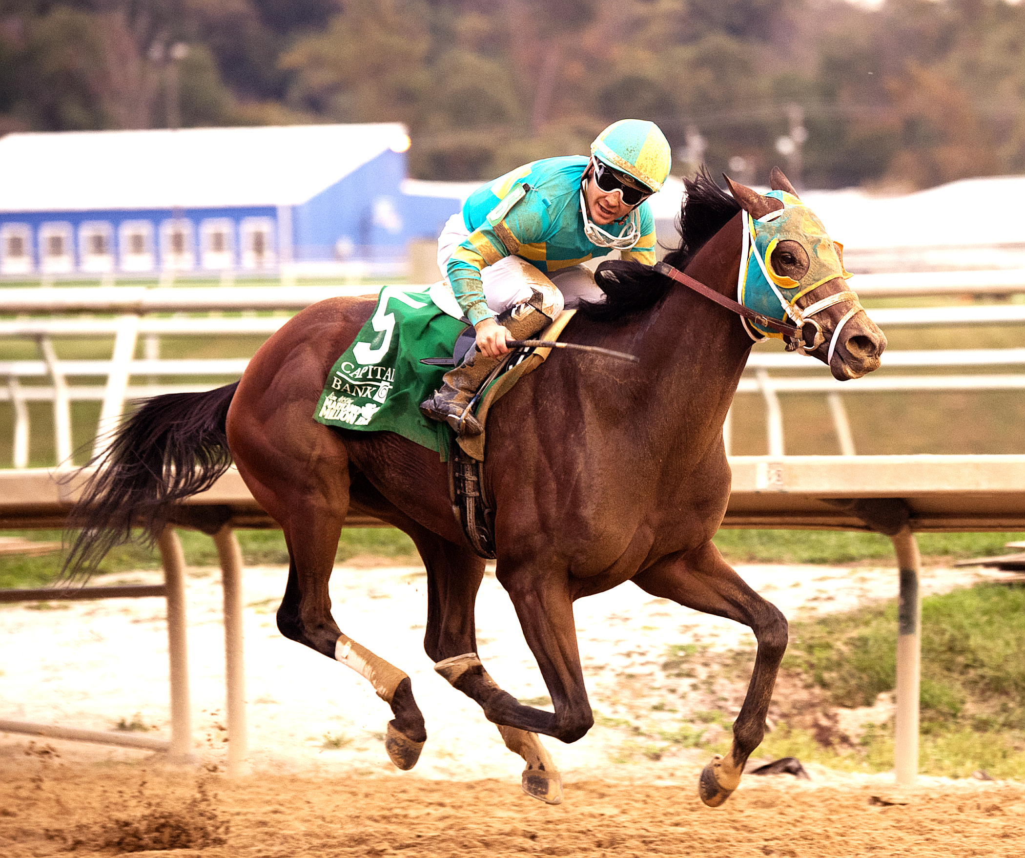 Bonus Points wins the 2017 Maryland Million Classic