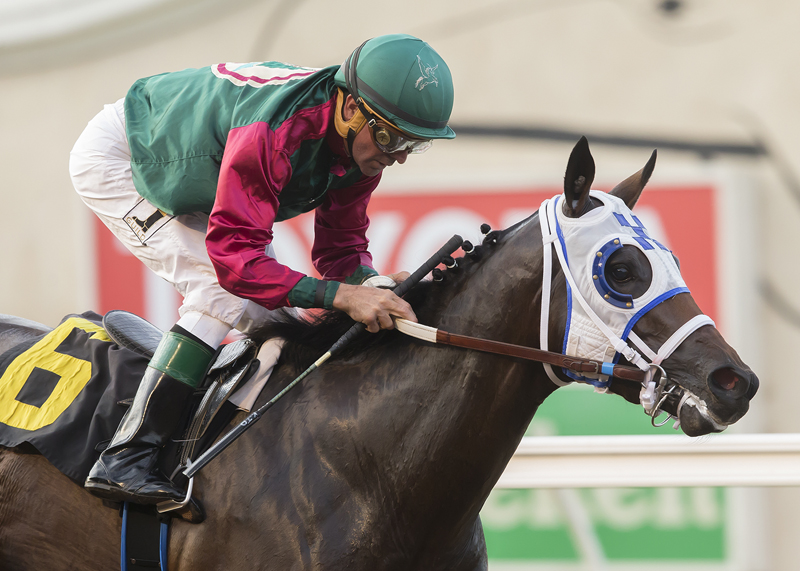 Bookies Luck wins the I'm Smokin