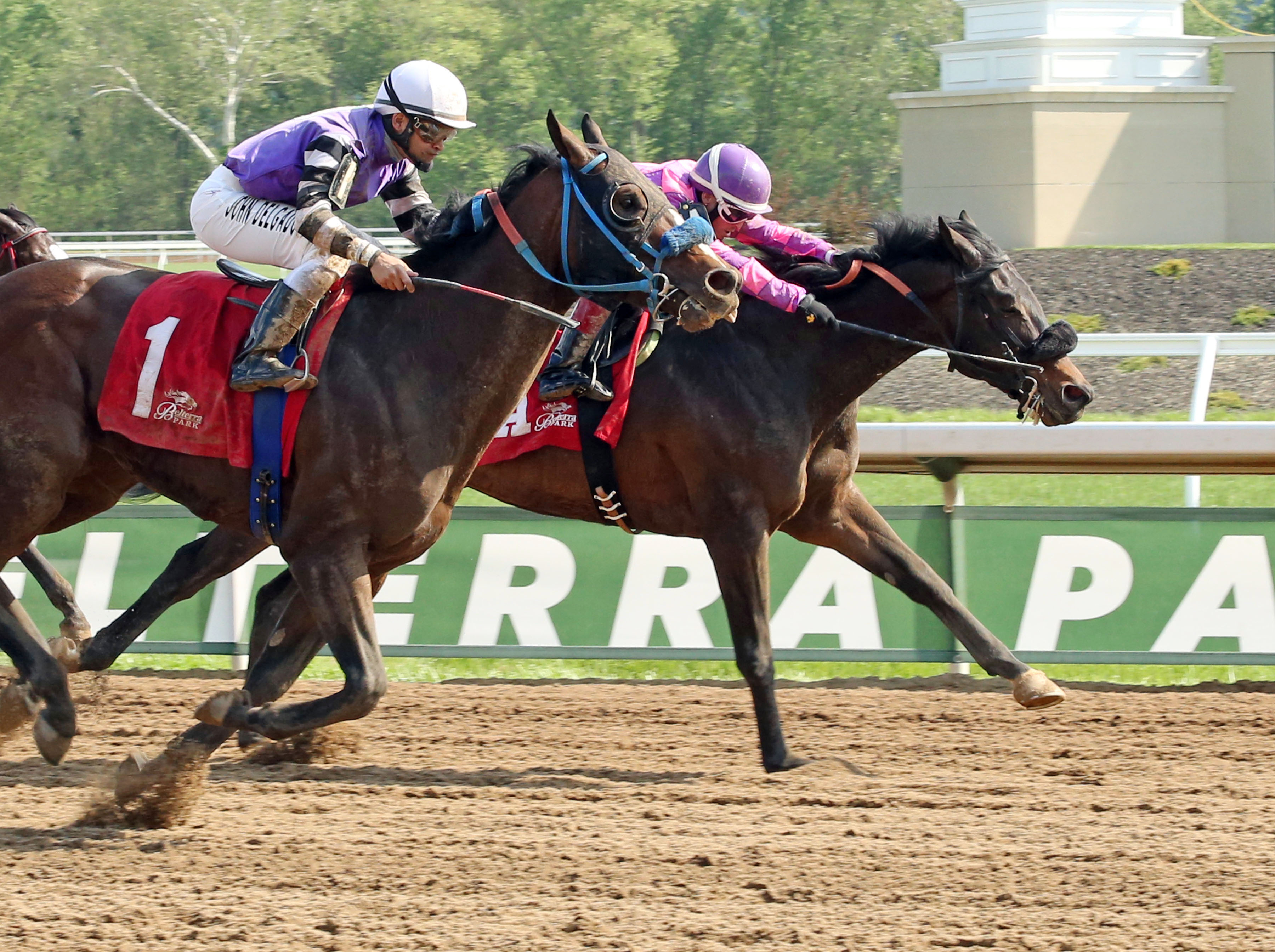 Boot Legger wins the 2015 Tall Stack