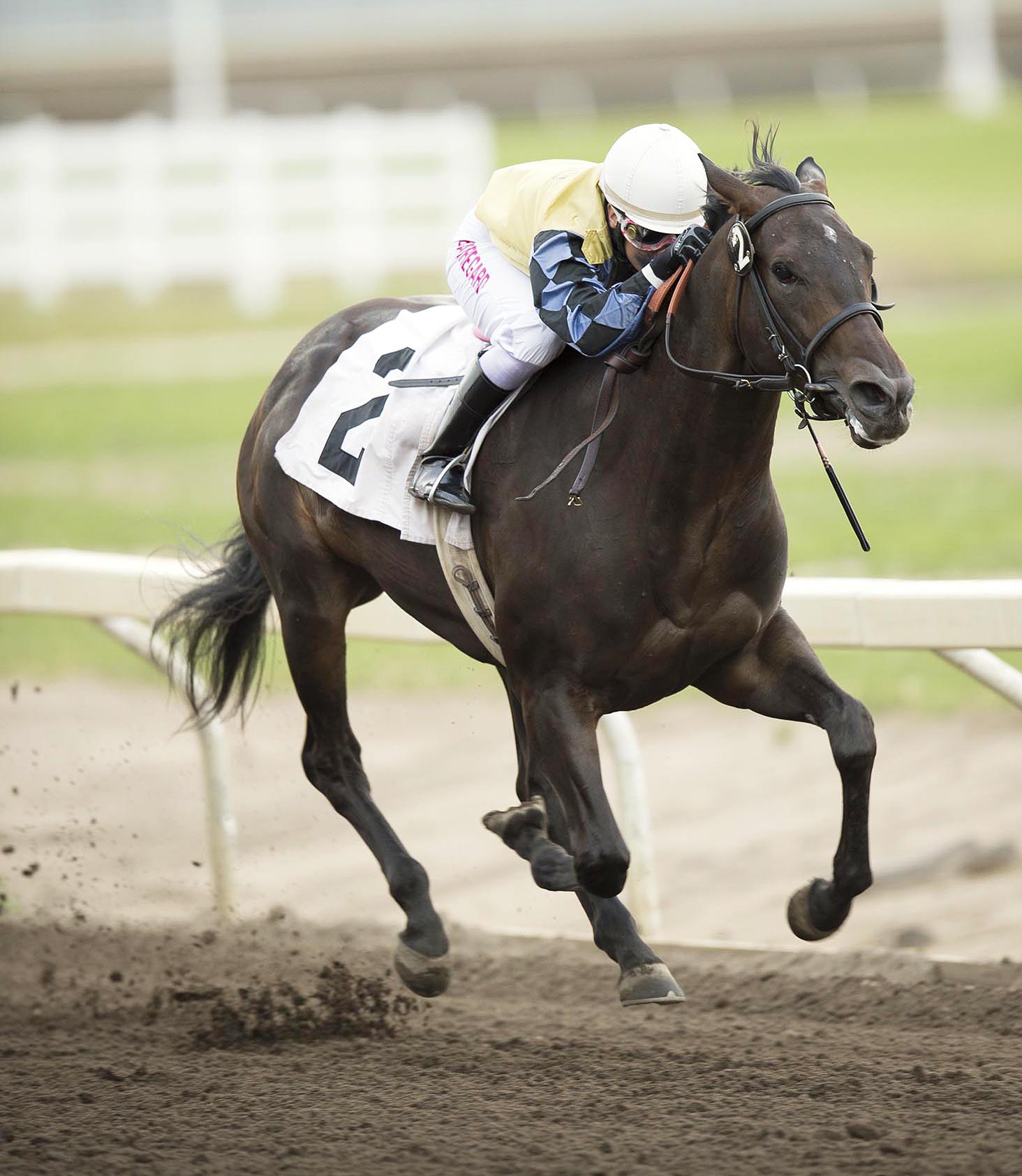 Bootleggers Wife wins the Princess Margaret Stakes