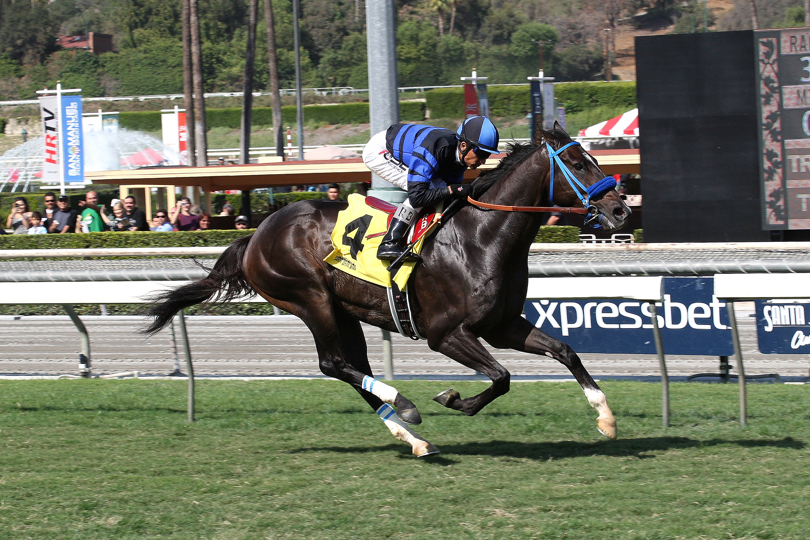 Boozer wins 2014 California Flag