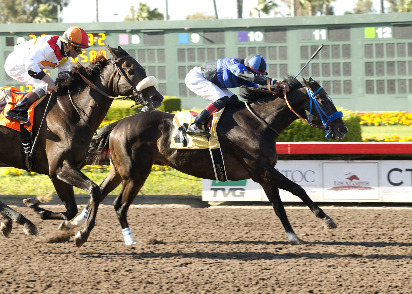 Boozer wins the Bertrando Stakes