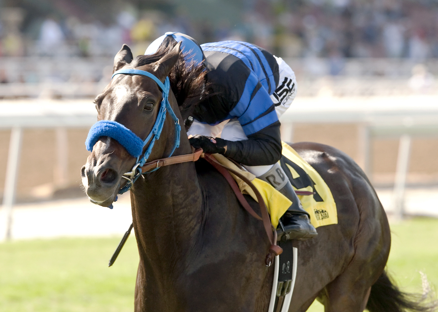 Boozer wins the California Flag Handicap