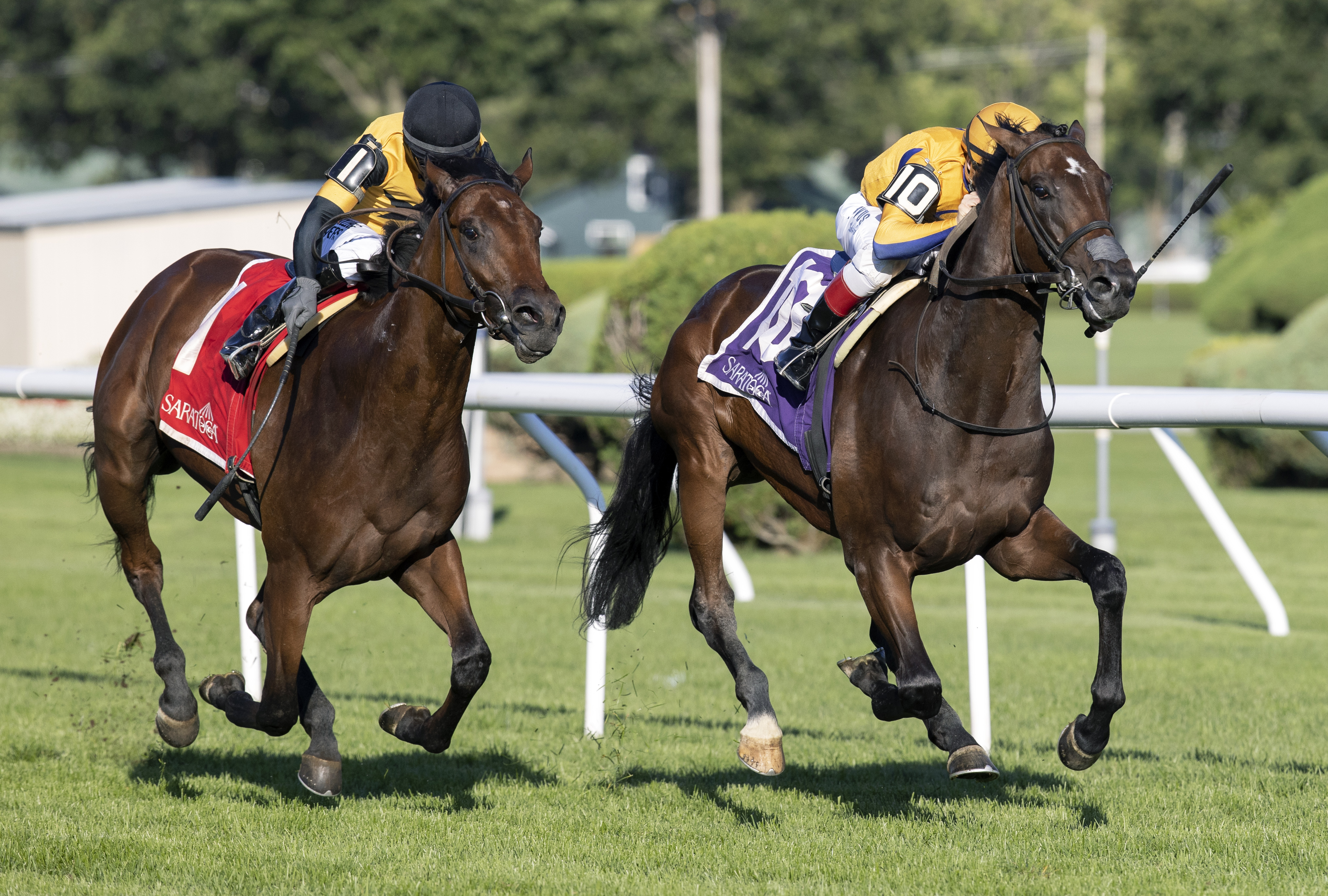 Boppy O (right) holds off Battle of Normandy to win With Anticipation Aug 31 2022