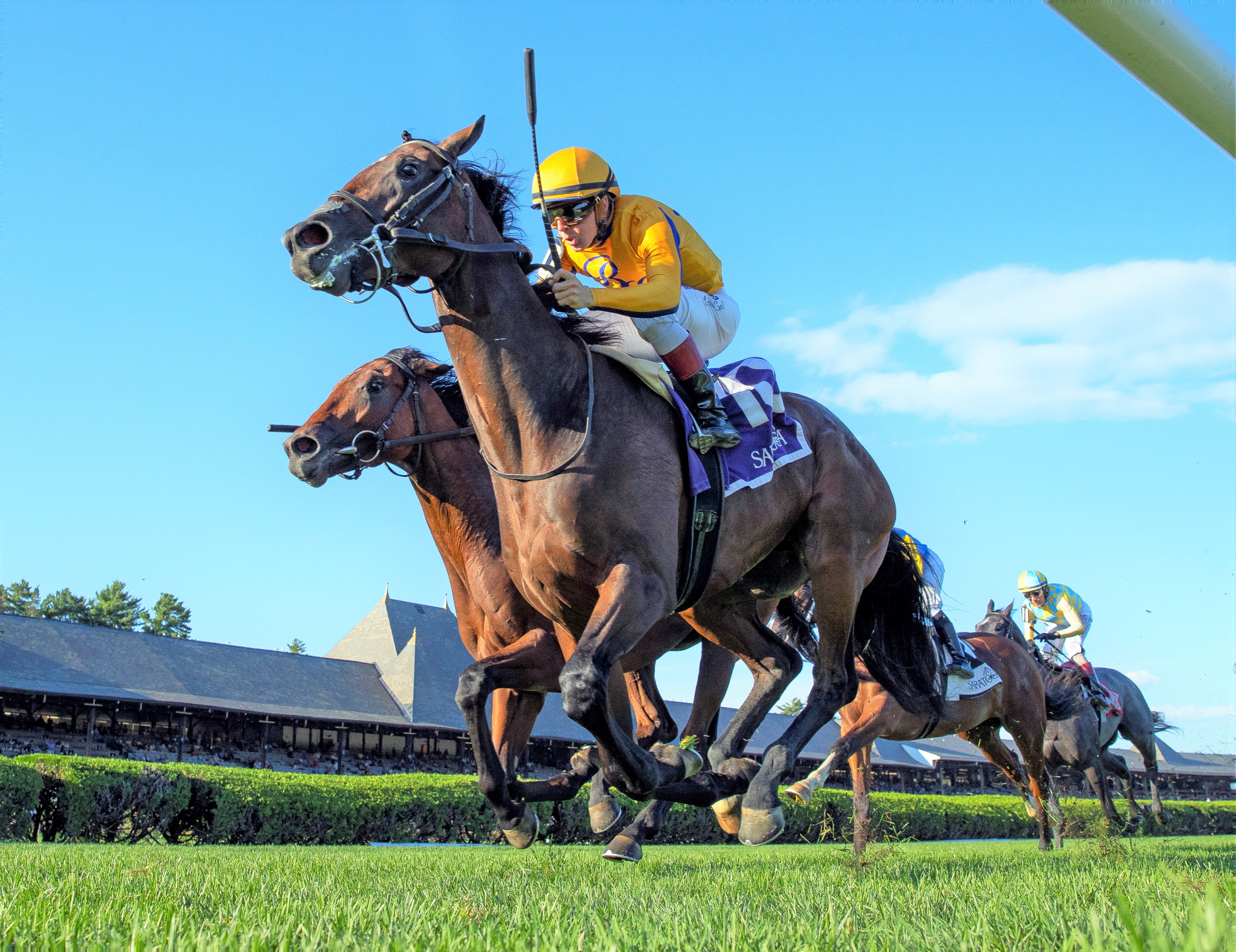 Boppy O wins the With Anticipation Aug 31 2022