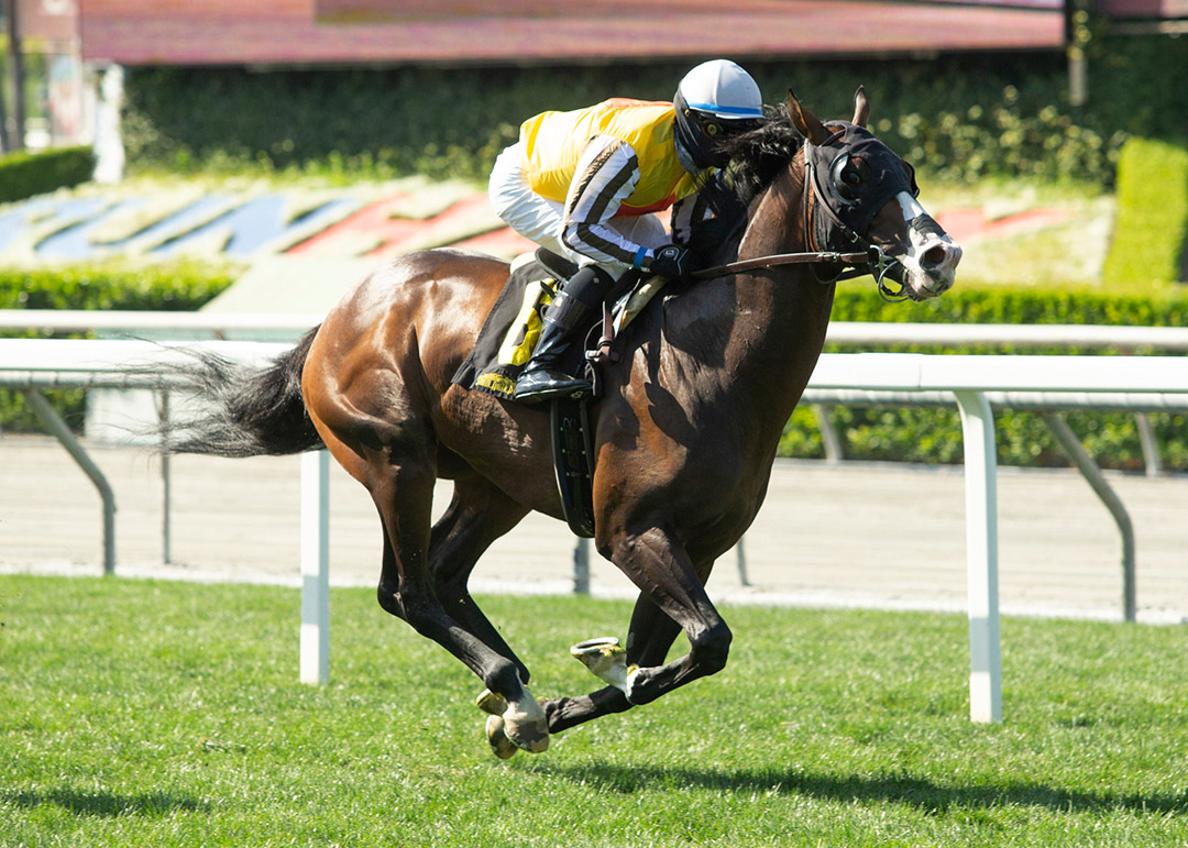 Border Town wins a May 24 allowance at Santa Anita Park